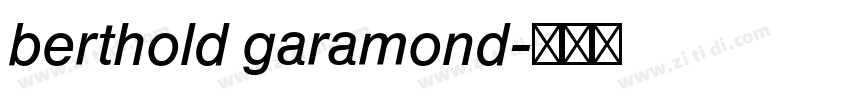 berthold garamond字体转换